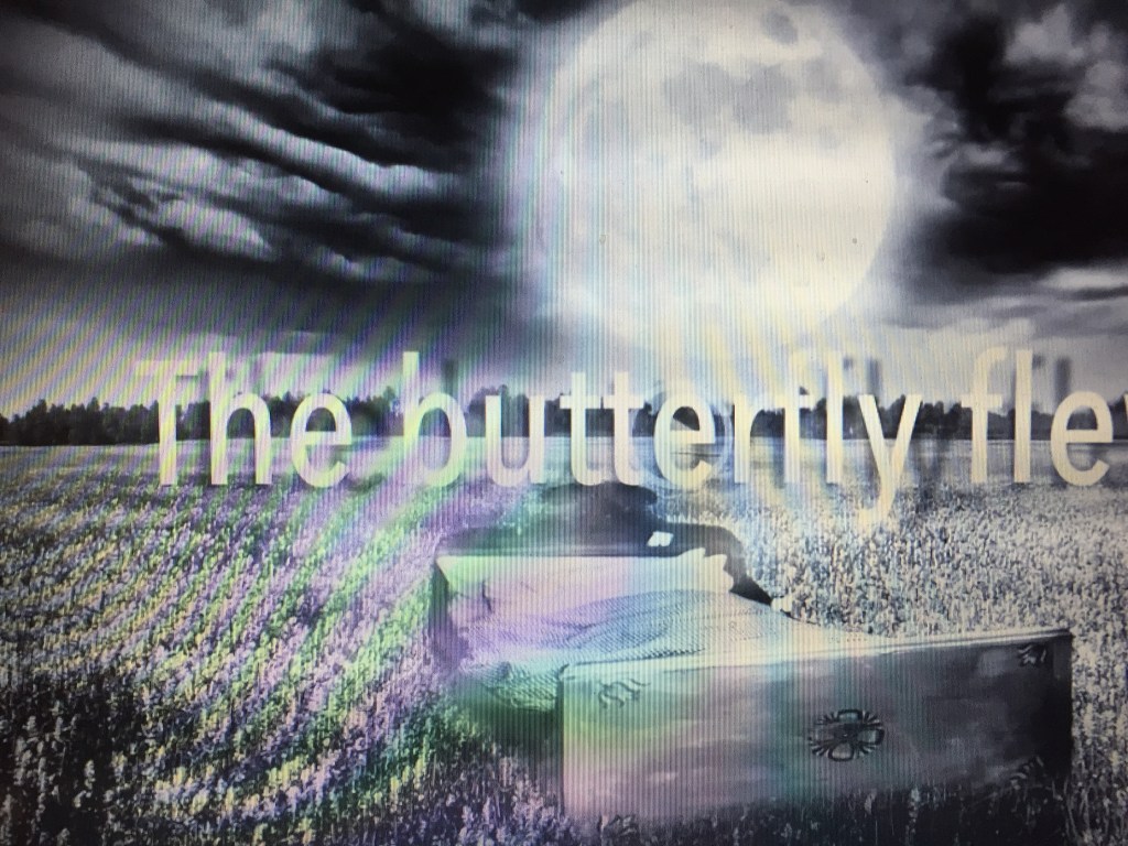 The Butterfly Flew