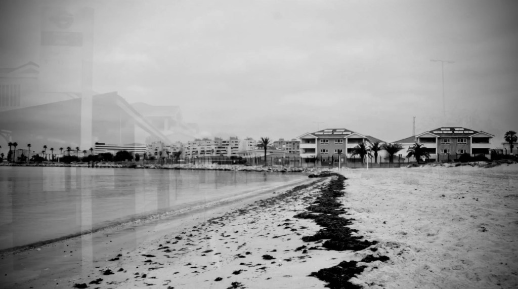 The day life changed